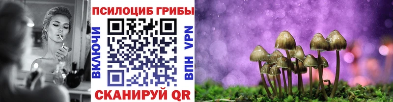 Галлюциногенные грибы Magic Shrooms  купить наркотики цена  кракен ONION  Ленинградская 